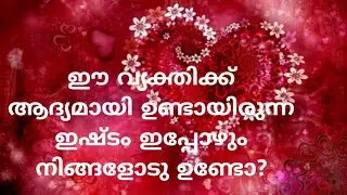 ഈ വ്യക്തിക്ക് ആദ്യമായി ഉണ്ടായിരുന്ന ഇഷ്ടം ഇപ്പോഴും നിങ്ങളോടു ഉണ്ടോ?|555 ANGEL TAROT LOVE READING
