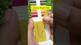 Loreal Paris Total Repair 5 Shampoo PH Test‼️ Pass or Fail⁉️ #shorts #ashortaday #haircare