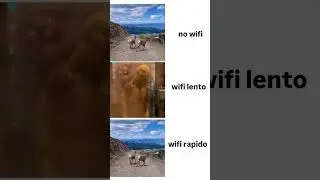 Wifi lento 😤#shortvideo #humor #short