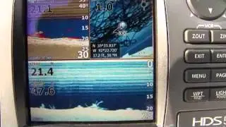 Greers Ferry fishing hotspots