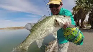 Crushing Desert Bass - Mittry Lake, Yuma AZ, Shore Fishing
