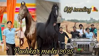 Jeep palat gayi ? Pushkar mele mein 🥺😱