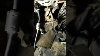 IVECO VERTIS problema no interruptor de embreagem