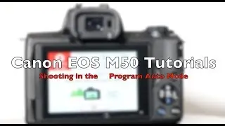 Canon EOS M50 Tutorial Part 2: Shooting in the Program Auto Mode