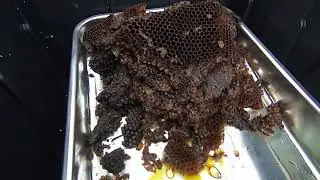 Solar Honeycomb Beeswax Melter  Extractor - Grumman Style