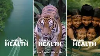 The National Planetary Health Action Plan