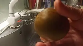 HOW TO MAKE DRIED MONK FRUIT  TEA
