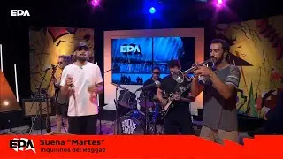 EPA Esto pasa acá | 24-12-2025 |  Inquilinos del reggae