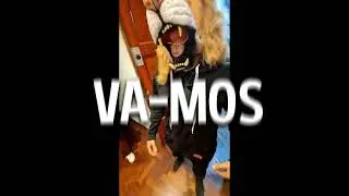 VA-MOS | LEON EN LA PERUVIAN HOUSE!!!