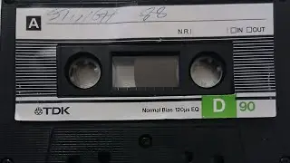 STING. HALF PINT, LECTURER, COCOA TEA, LEGOY GIBBONS & ADMIRAL BAILEY.  (1988) (A)