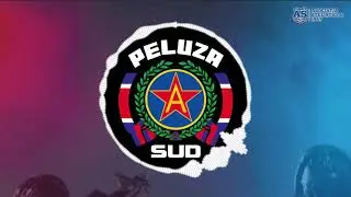 SUD STEAUA - Și de câinii erau în gară..