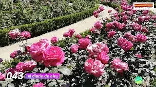 Rosaleda Parque del Retiro, Madrid, el diario de alex (Canal Turismo na Espanha)