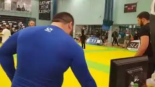 All Stars Europeans 2019