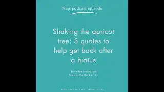 Episode 11: Shaking the Apricot Tree: 3 quotes to help get back after a hiatus