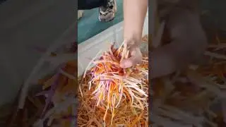 MNS-300S Root Vegetable Carrot Potato Julienne Shredding Machine (WhatsApp:+86-13733892205)