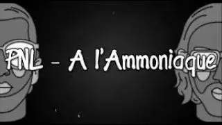 PNL - A l'Ammoniaque Paroles