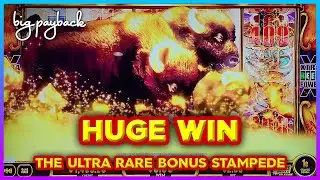 ULTRA RARE! HUGE WIN on Buffalo Gold Cash Collection Slots!