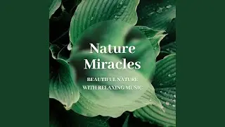 Learning from Mother Nature