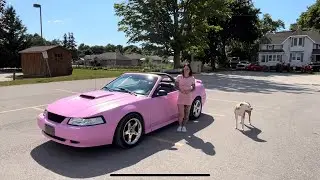 1999 Mustang GT, Wrapped Pink. My Wife&rsquo;s Most Favourite Car!