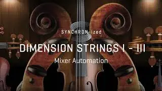 Vienna SYNCHRON-ized Dimension Strings Tutorial