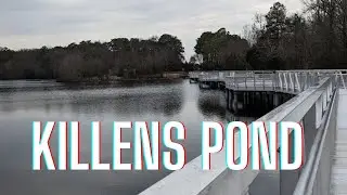 Killens Pond State Park