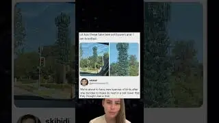 Cell tower birds