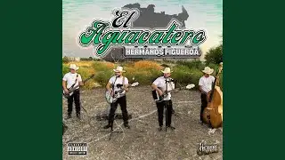 El Aguacatero (En Vivo)