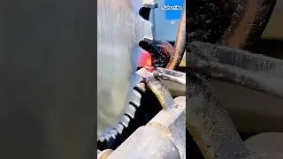 The process of sawtooth welding alloy cutter head: cutting iron like mud #technology #shorts