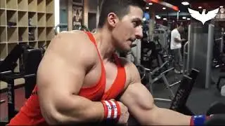 Arm Workout - Sadik Hadzovik 💪