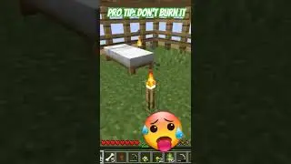 #minecraft #gaming #minecraftbuilding #bracesquad #smallranch #funny #shorts #fyp #oneblock #jokes