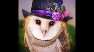 Animal and Wildlife Photography, Fashion Models Photography, Artistic Photography