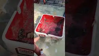 Aschenbecher Gr&ouml;&szlig;e Bedeutungsperspektive Indonesia