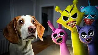 Dogs vs Evil Sprunkis in Real Life!