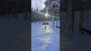 John 5 📖 #bible #love #shorts #jesus #nature #faith #closedcaption