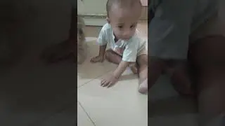 addo playing with sam