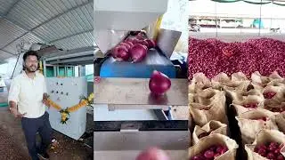 AI in Onion Grading - Smart grading sorting machines by Agrograde