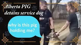 Edmonton police officer detains service dog because woman flipped him off
