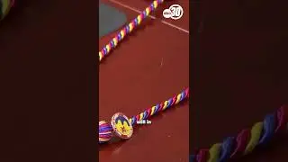 Student denied request to wear tribal regalia at graduation
