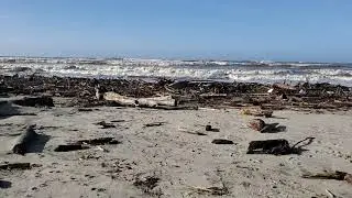 Nedonna Beach, Oregon.  King Tides at low tide. Prof. Kukral.