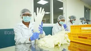 EGIS GLOVES 4