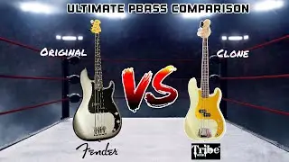 Полное сравнение бас-гитар Precision Bass: Fender Precision American Pro 2 против Tribe Spike (клон P-bass)