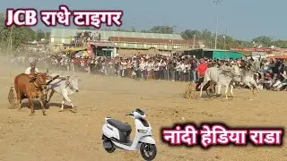 गंगेरूवा पट। चंदू भईया JCB राधे टाइगर VS 25.09शोहेब पटेल नांदी हेडिया राडा vin पट ox bull 🚩