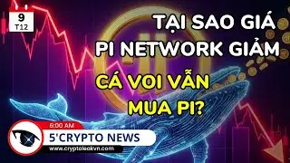 [5 Ph&uacute;t Crypto] Pi Network Gi&aacute; Sụt Sau Vụ Kiện - Whale Lớn Vẫn Tiếp Tục Gom Token