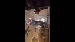 6 begener tricks on a scooter