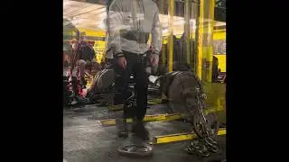 Rows, rack pulls , lat work and some biceps 