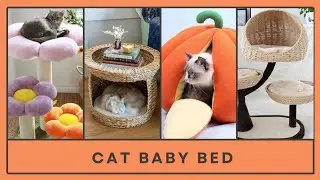 Cute And Unique Cat Beds Ideas 2023