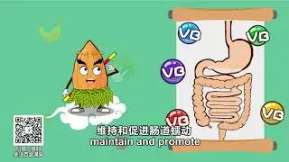 56  Peach Kernel