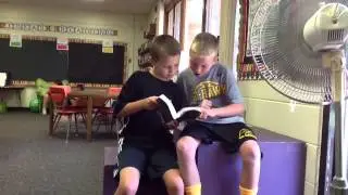 Real Readers And Fake Readers