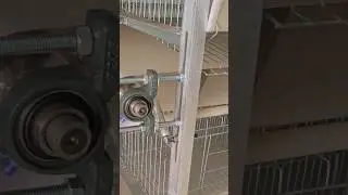 Automatic chicken cages,auto cleaning #chicken #coop