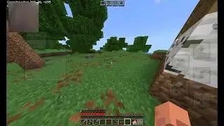 Minii video